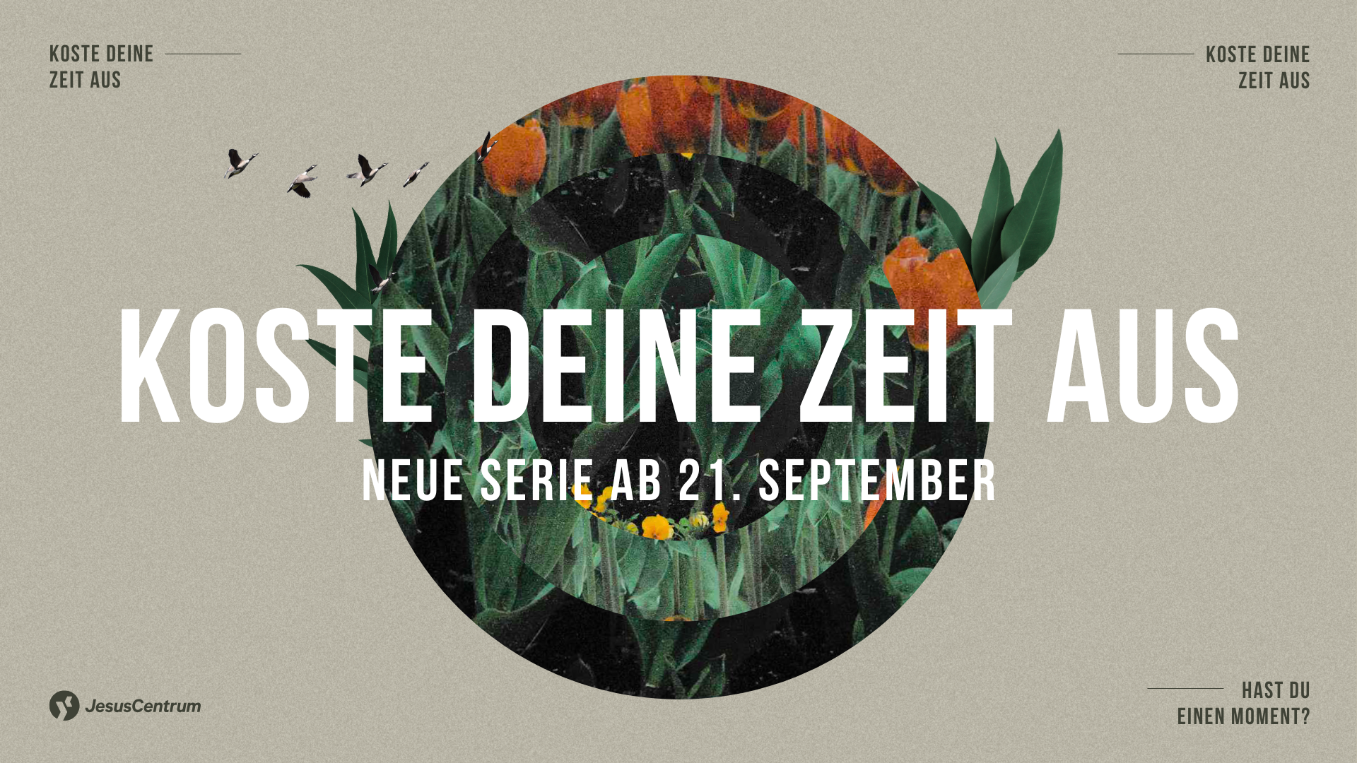 2025_Koste deine Zeit aus_Serienbanner Sommerpause JC Bamberg
